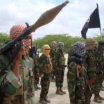 AP23313470227908-1704904185