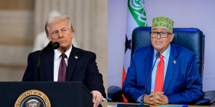 Trump-Somaliland